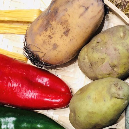 禁煙標(biāo)識(shí)圖設(shè)計(jì):文明提示,禁煙標(biāo)識(shí)圖設(shè)計(jì)倡導(dǎo)文明生活